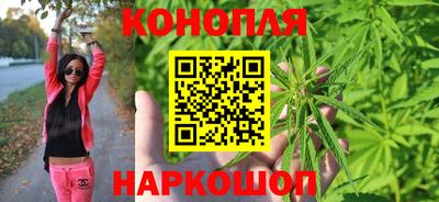 прущие грибы Мариинск