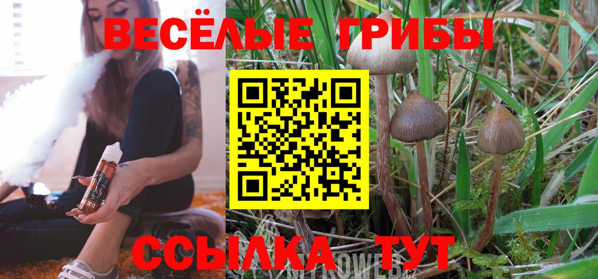 Усинск  Галлюциногенные грибы прущие грибы  Галлюциногенные грибы мицелий  Вход с VPN 